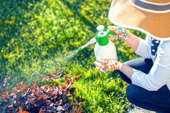 Woman in straw hat uses a hand sprayer to spray garden plants.