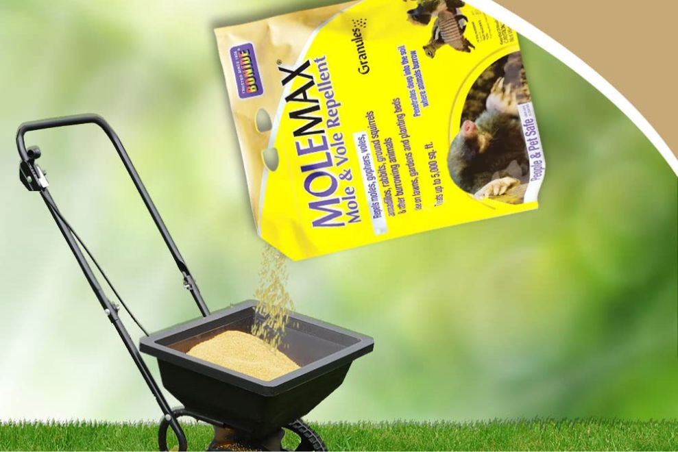 The Best Vole Repellents Picks from Bob Vila