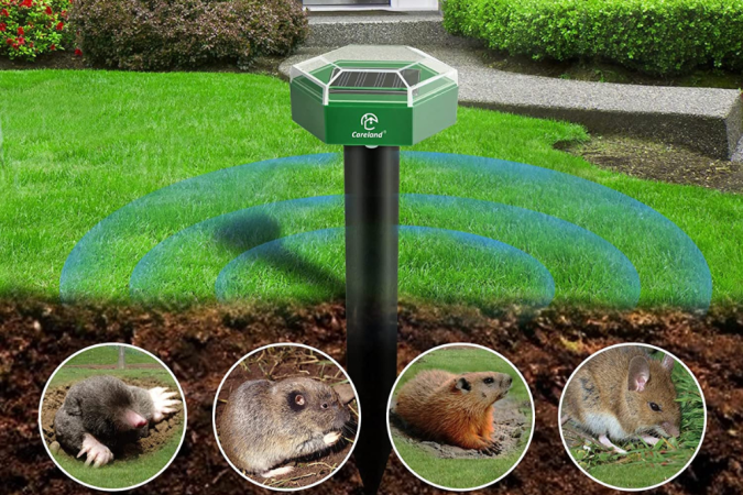The Best Rat Repellents to Keep Your Home Rodent-Free