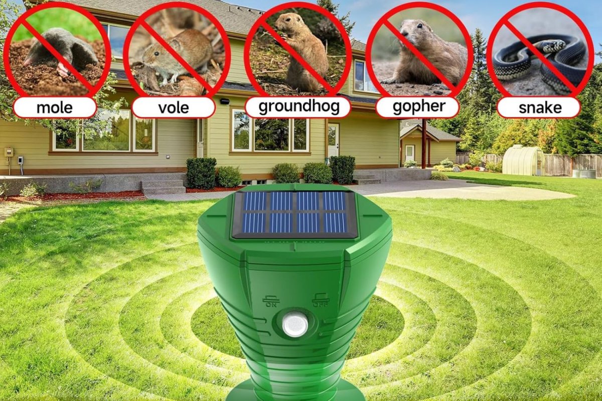 The Best Vole Repellents