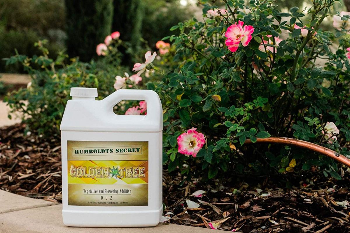 The Best Fertilizer for Apple Trees Options