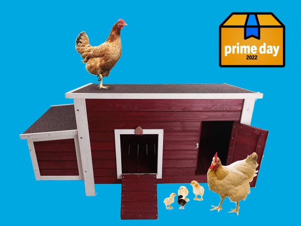 Our Favorite Chicken Coop Is On Sale for Prime Day