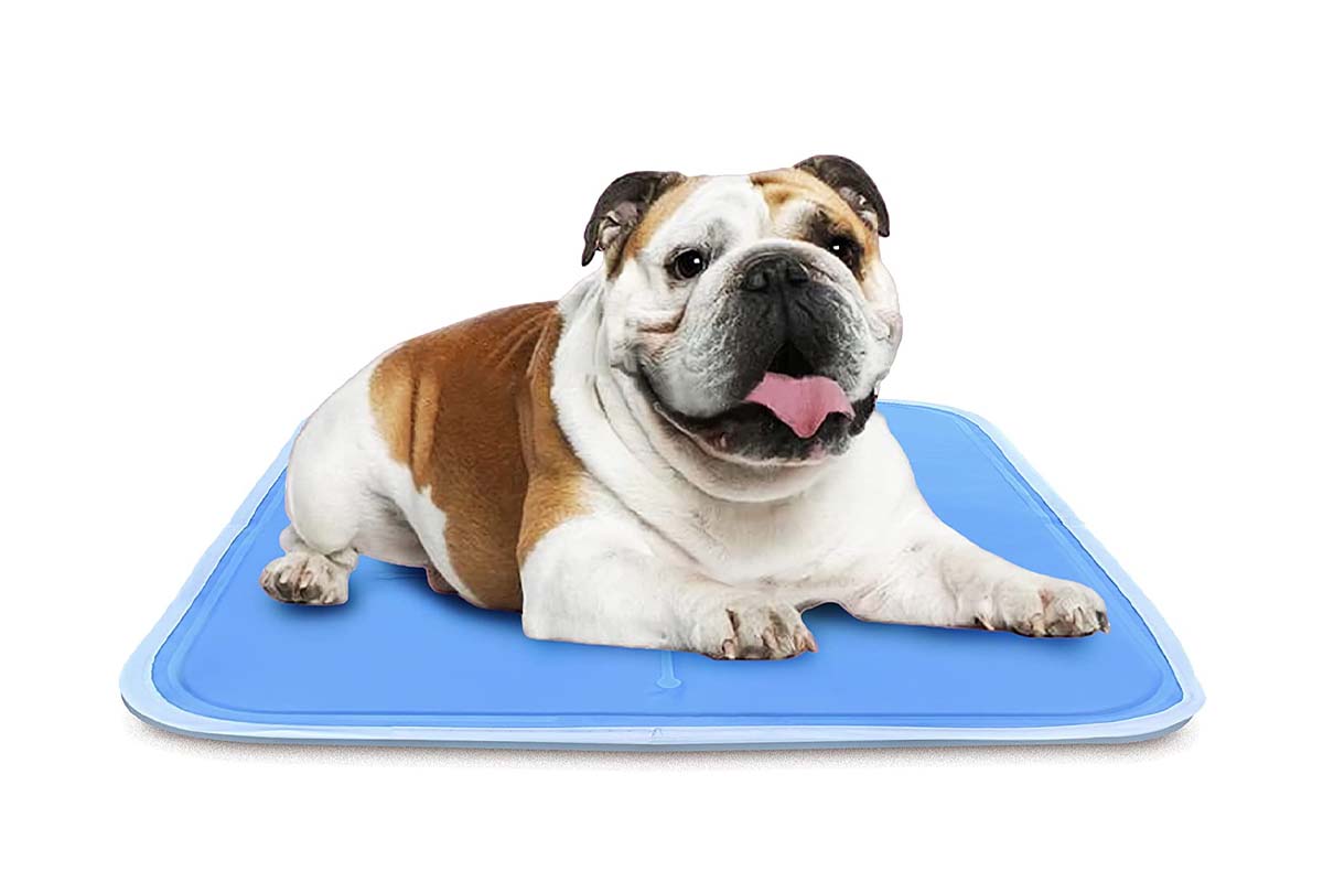 Genius Products to Help You Stay Cool Option The Green Pet Shop Dog Cooling Mat