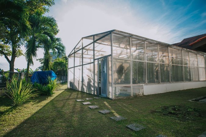 12 DIY Greenhouse Plans for Gardeners on a Budget 