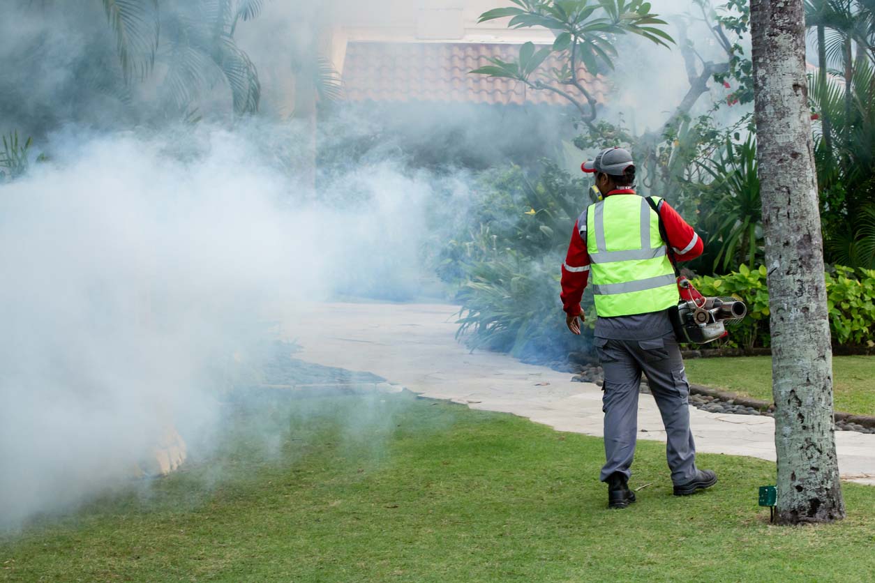 The Best Mosquito Control Services Options