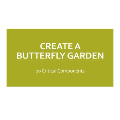 The Best Online Gardening Classes Option: Create A Butterfly Garden
