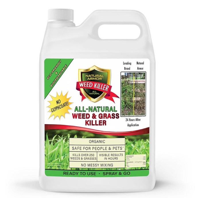 2025's Best Weed Killers for Flower Beds, Tested and Ranked