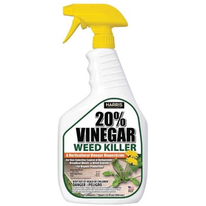 The Best Weed Killers for Bermuda Grass Option: Harris 20% Vinegar Weed Killer