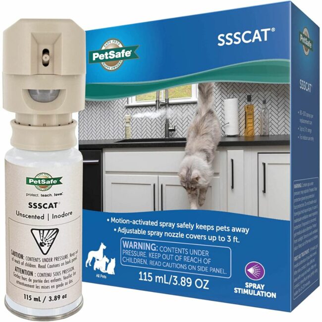 Ssscat petsmart new arrivals
