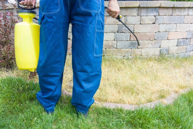 The Best Weed Killers For Bermuda Grass Options