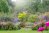 A colorful flower garden with a rustic archway.