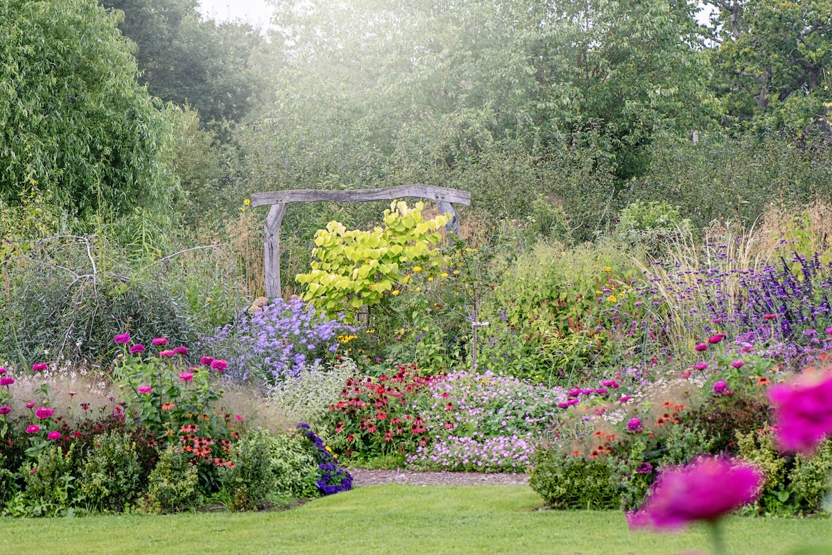 A colorful flower garden with a rustic archway.
