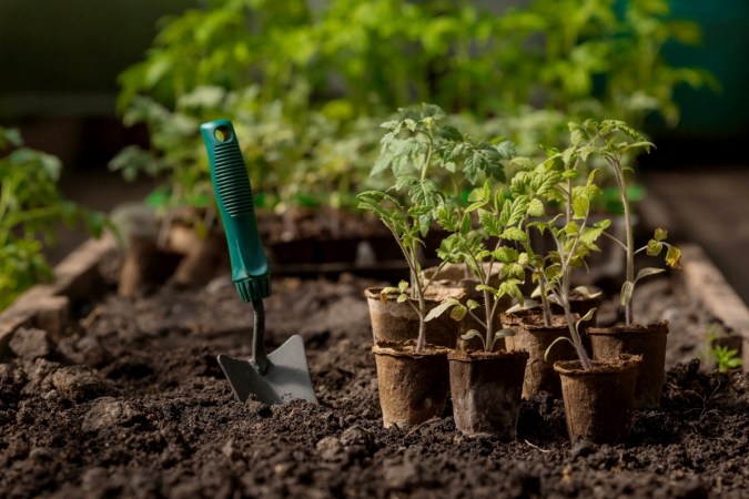 10 Things Every New Gardener Needs to Know