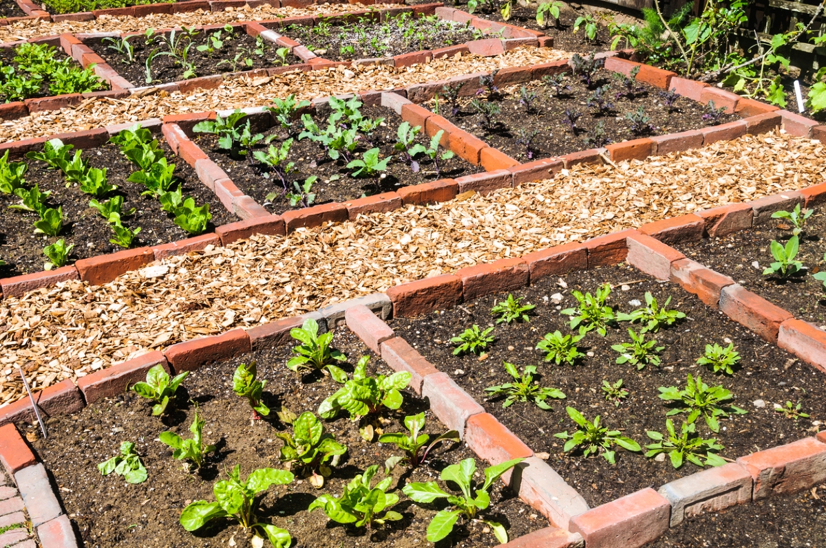 12 Ways to Upcycle Leftover Bricks