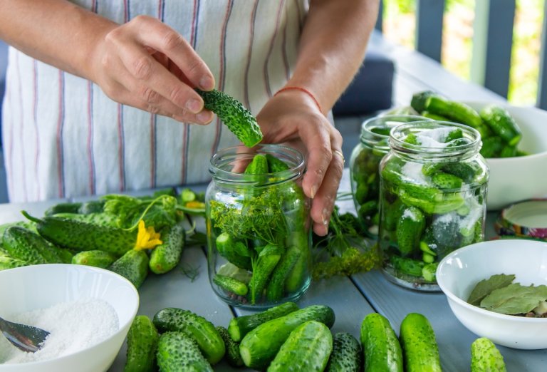 Person wearing a white apron making pickles from fresh cucumbers. White bowls nearby contain spices and salts.