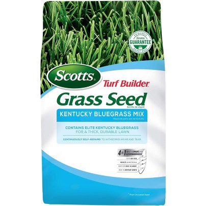 The Best Grass Seed for Michigan Option: Scotts Turf Builder Grass Seed Kentucky Bluegrass Mix