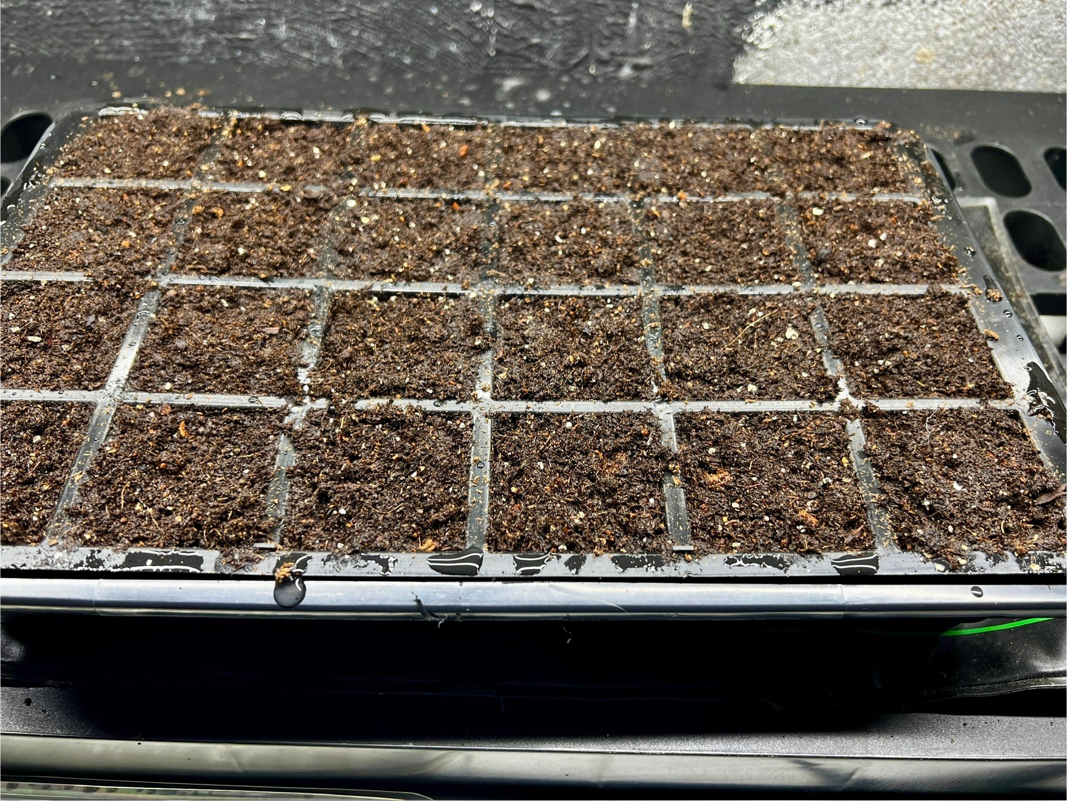 Best Seedstarting Tray_Gardners Supply