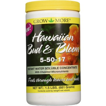 The Best Fertilizer For Plumerias Option: Grow More Hawaiian Bud and Bloom