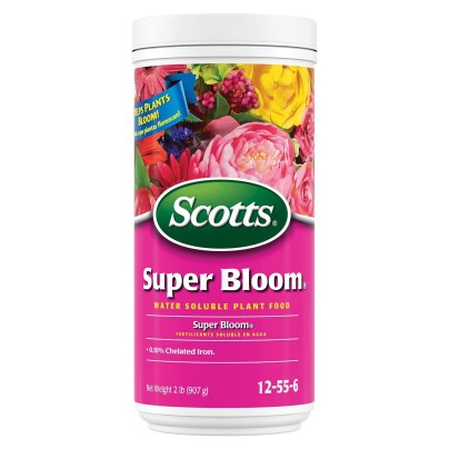 The Best Fertilizer For Plumerias Option: Scotts Super Bloom Water Soluble Plant Food
