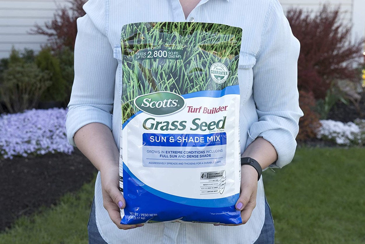 The Best Grass Seed for Michigan Picks from Bob Vila
