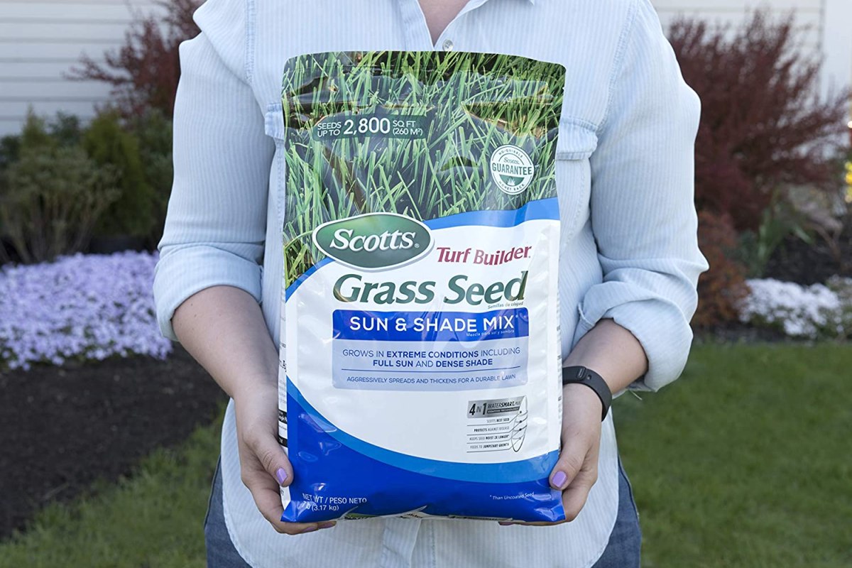 The Best Grass Seed For Michigan Options