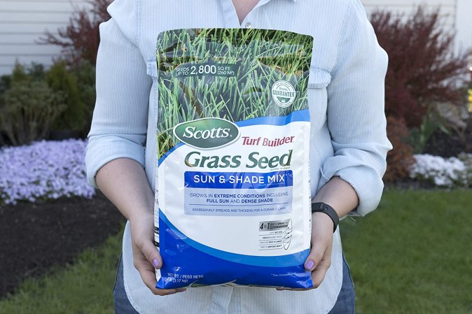 The Best Grass Seed for the Northeastern States