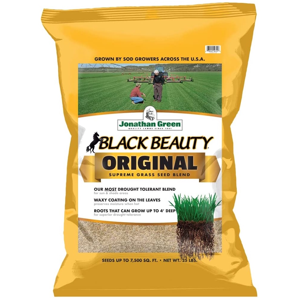 The Best Grass Seed for Michigan Picks from Bob Vila