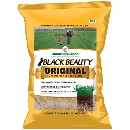 Jonathan Green Black Beauty Original Grass Seed 