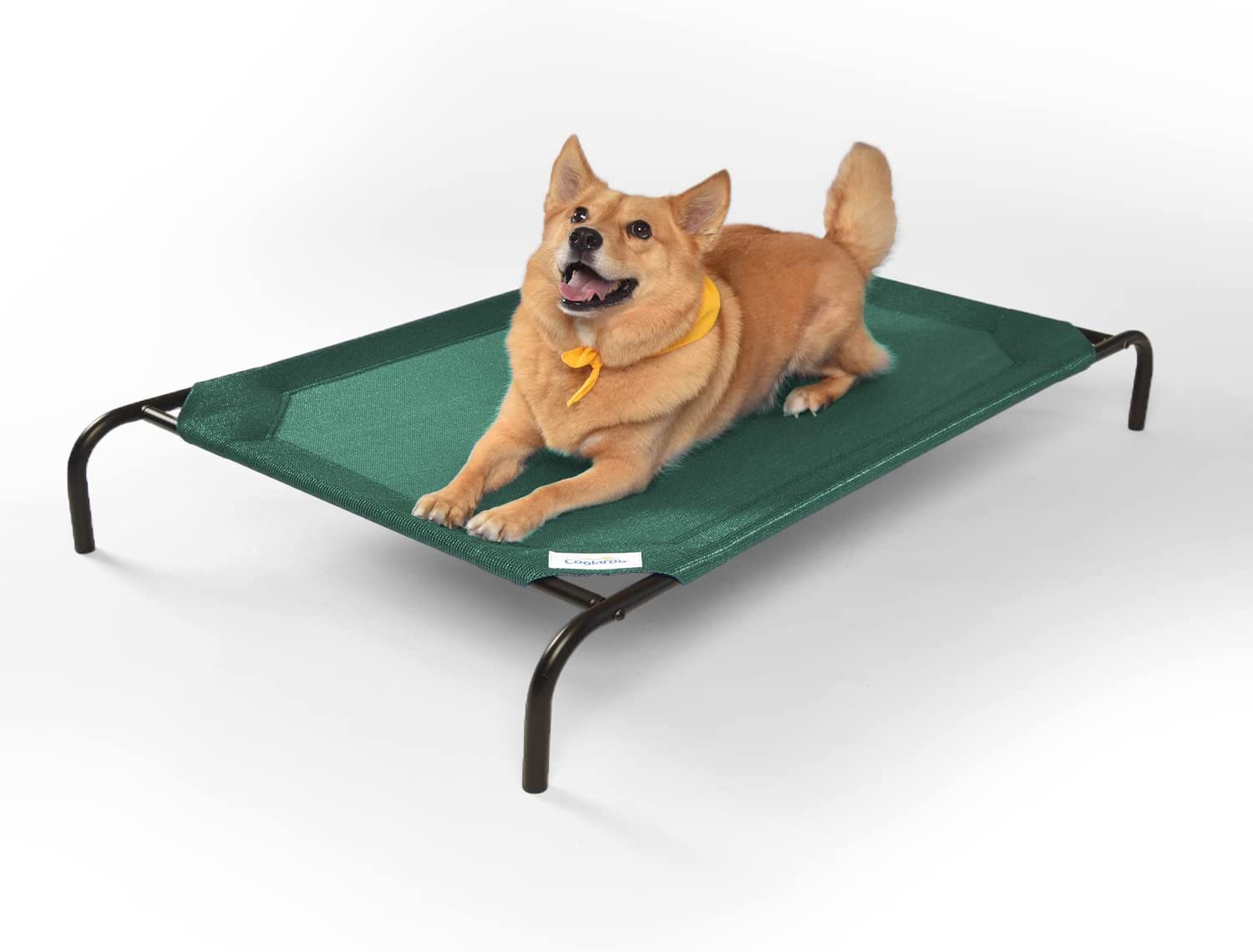 Our Favorite Products for Dog Owners: The Coolaroo Elevated Pet Bed