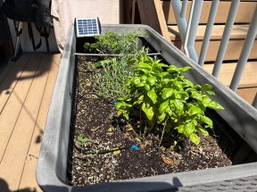Jiyang Automatic Solar Drip Irrigation Kit 01