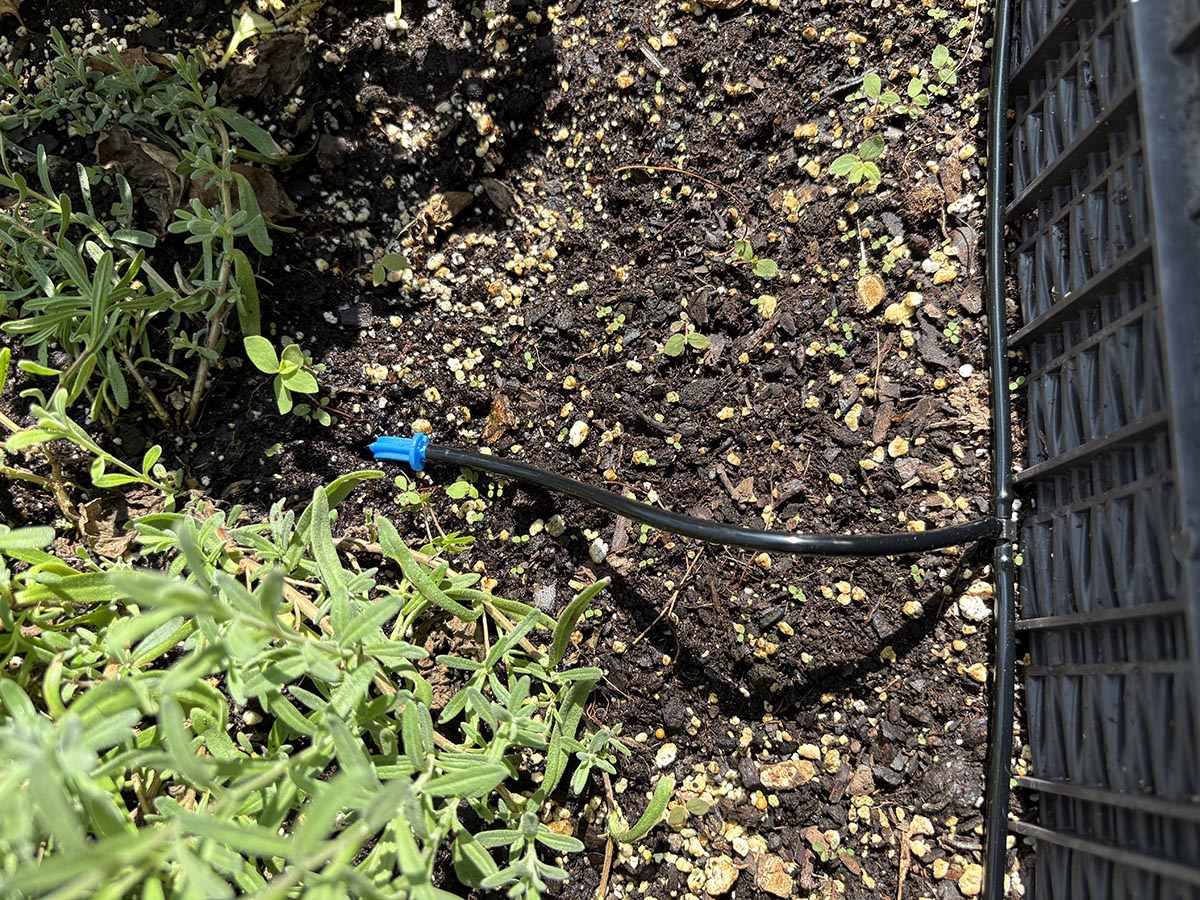 Jiyang Automatic Solar Drip Irrigation Kit 05