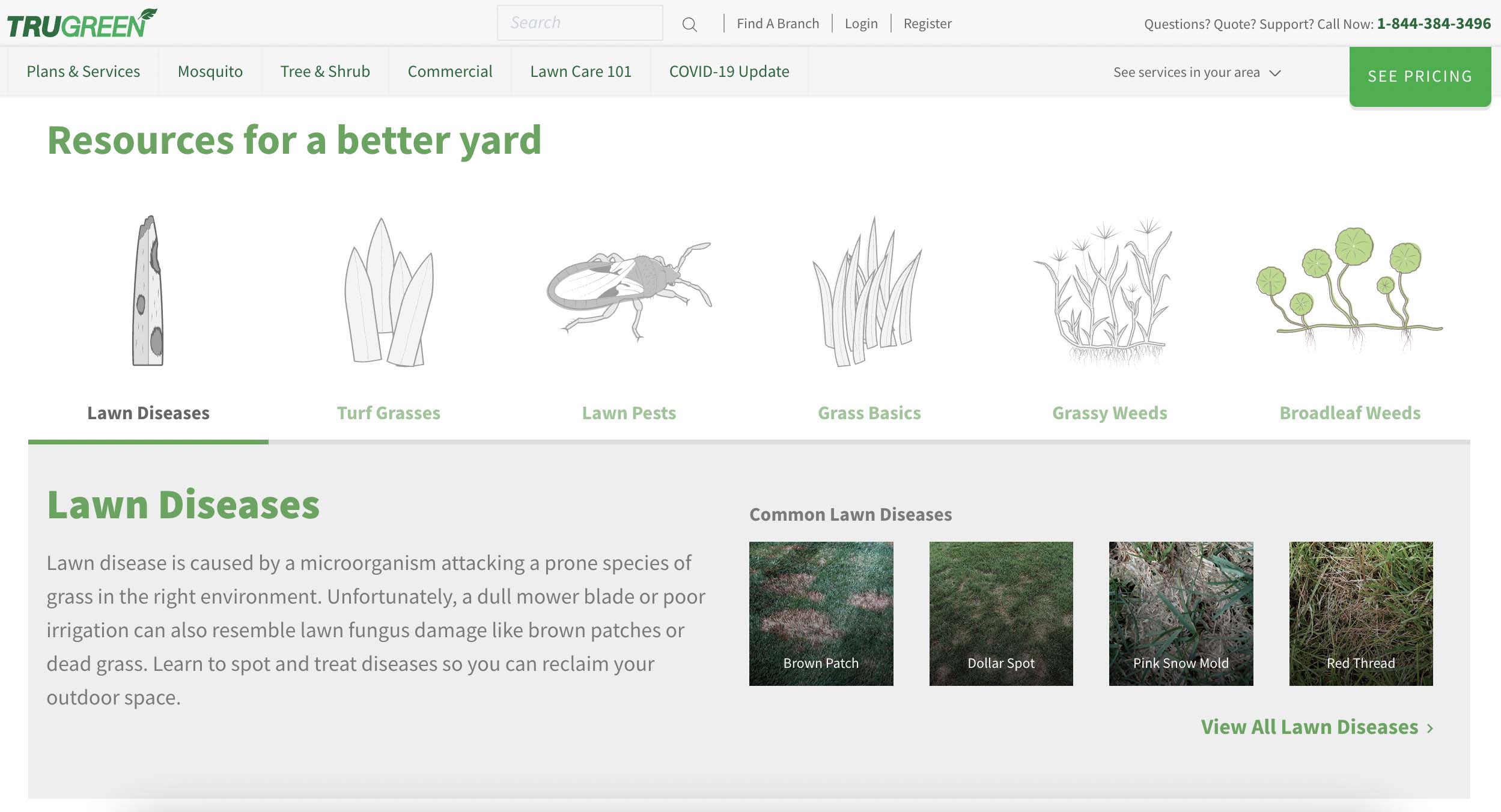 A screenshot of the lawn maintenance resources available on TruGreen's website.