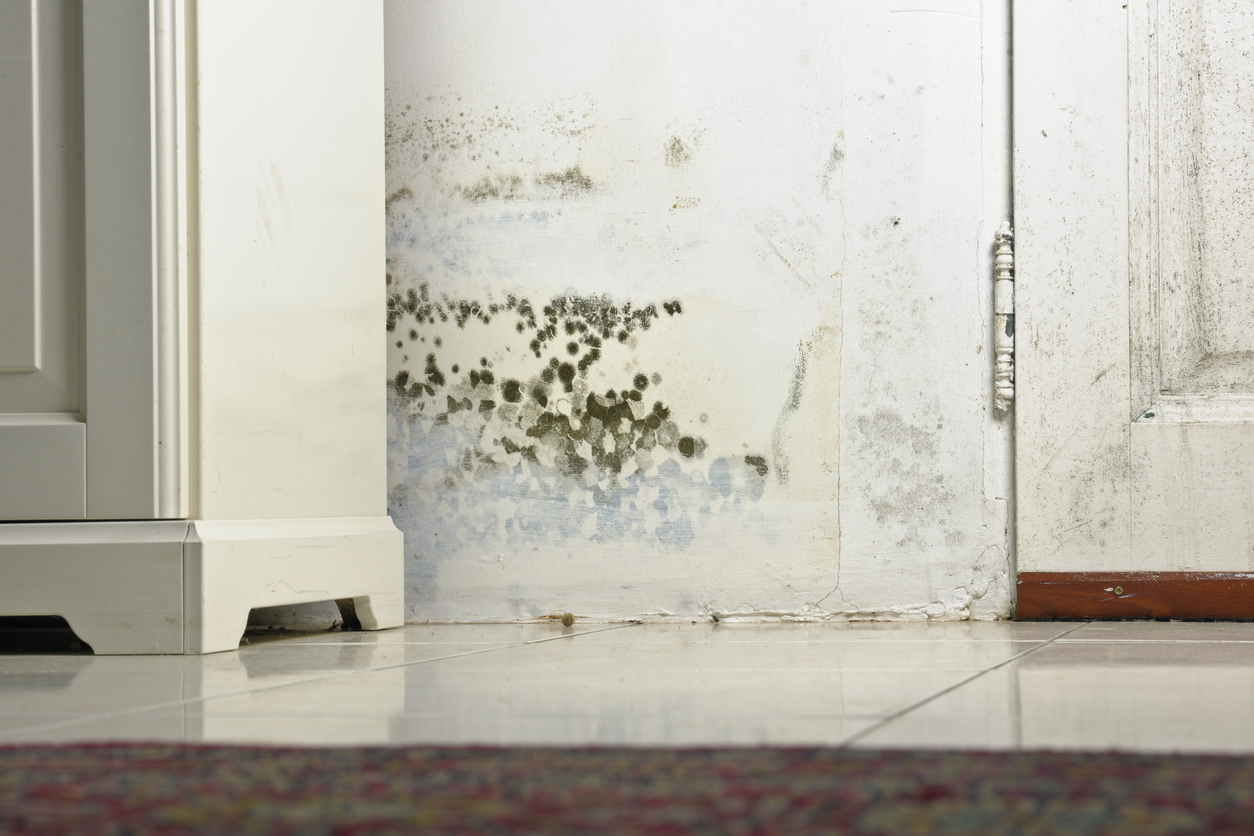 Signs of Water Damage In the Walls