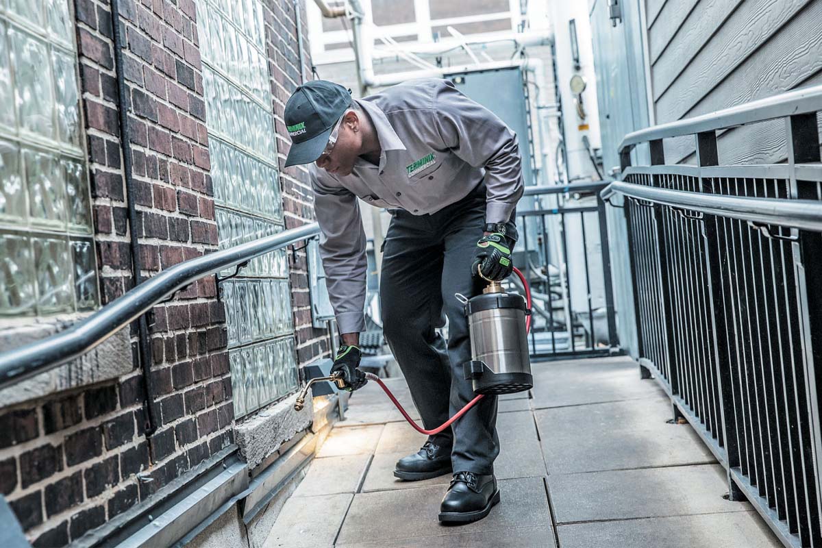 A pest control pro sprays for pests outside a brick home.