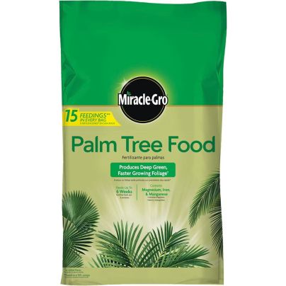 The Best Fertilizer For Palm Trees Option: Miracle-Gro Palm Tree Food