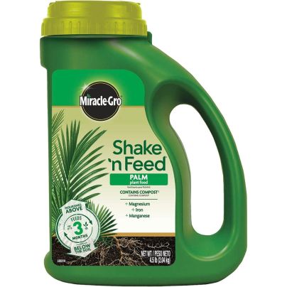 The Best Fertilizer For Palm Trees Option: Miracle-Gro Shake ’N Feed Palm Plant Food