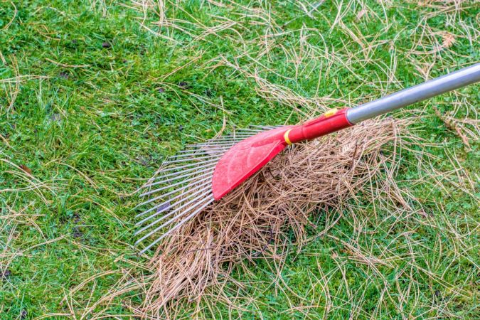 Power Rake vs. Dethatcher: What’s the Difference?