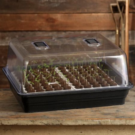  Best Seed Starting Trays Option:Park Seed Bio Dome Seed-Starting System