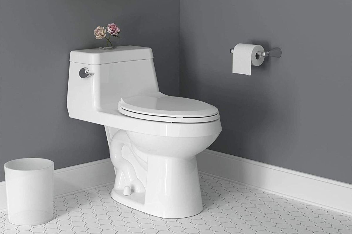 The Best American Standard Toilets Options