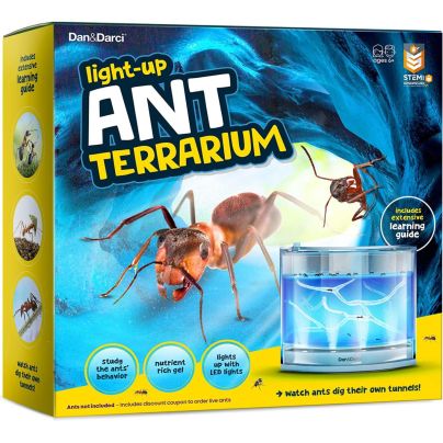 The Best Ant Farms Option: Dan & Darci Light-Up Ant Habitat