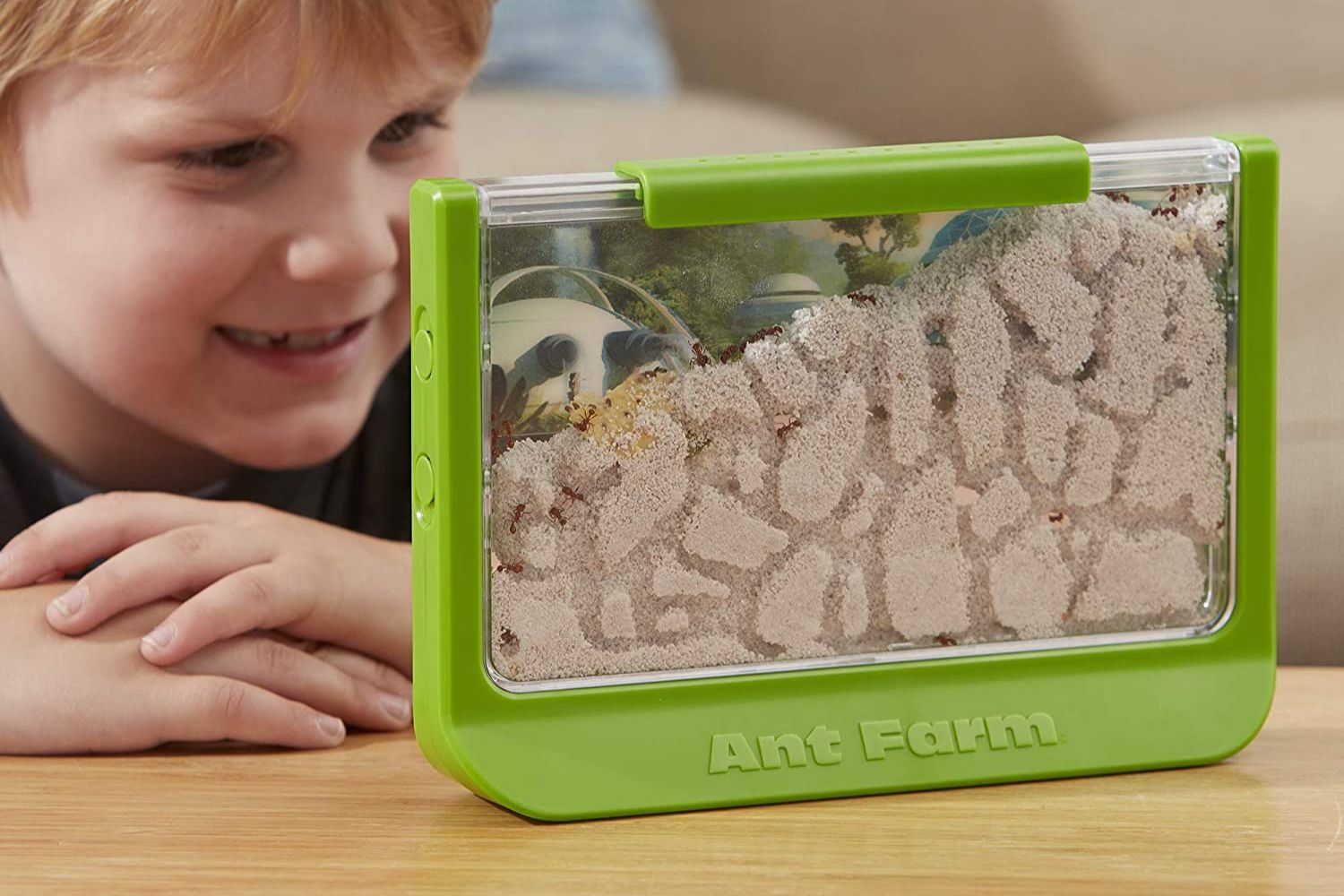 The Best Ant Farms Options