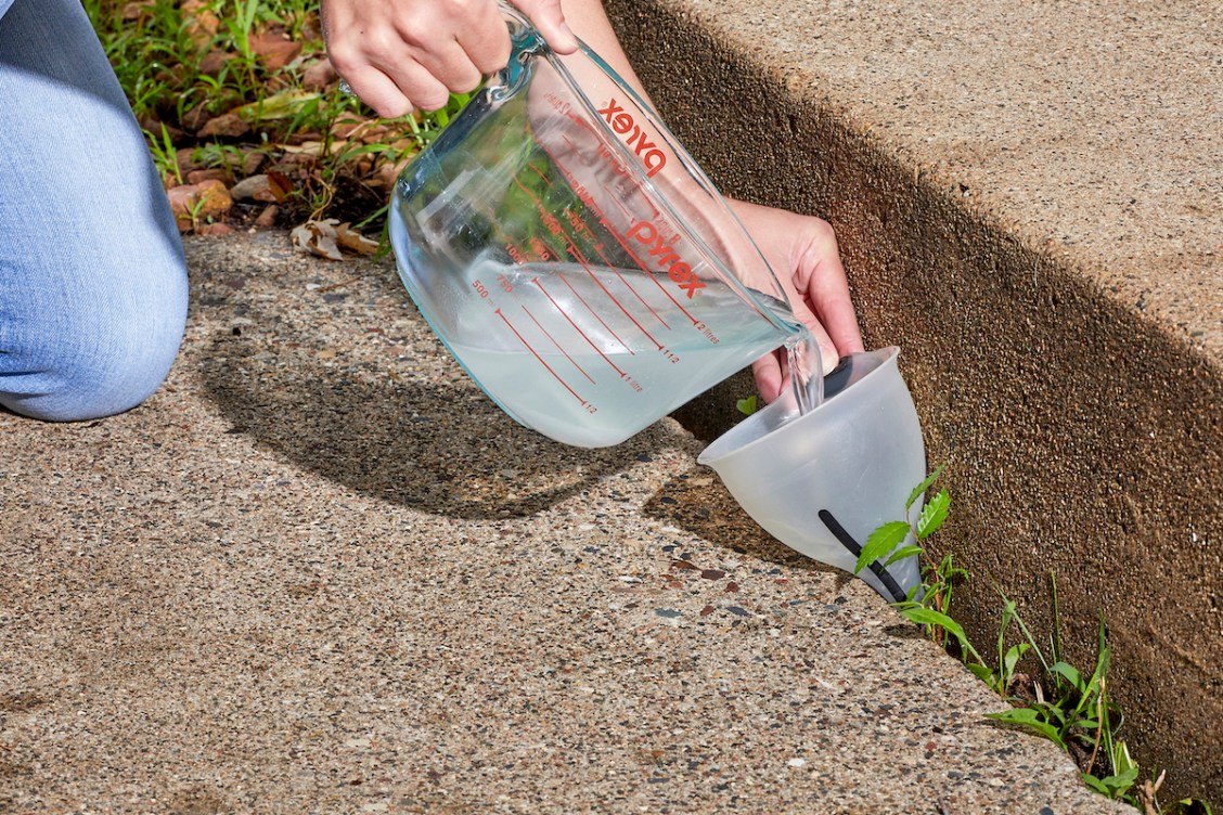 Does Salt Kill Weeds? Read This Before Using it on Your Property