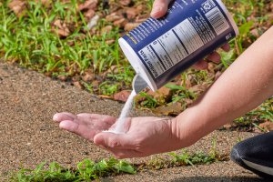 Woman sprinkles table salt into the palm of her hand, hand poised over weeds in the driveway.