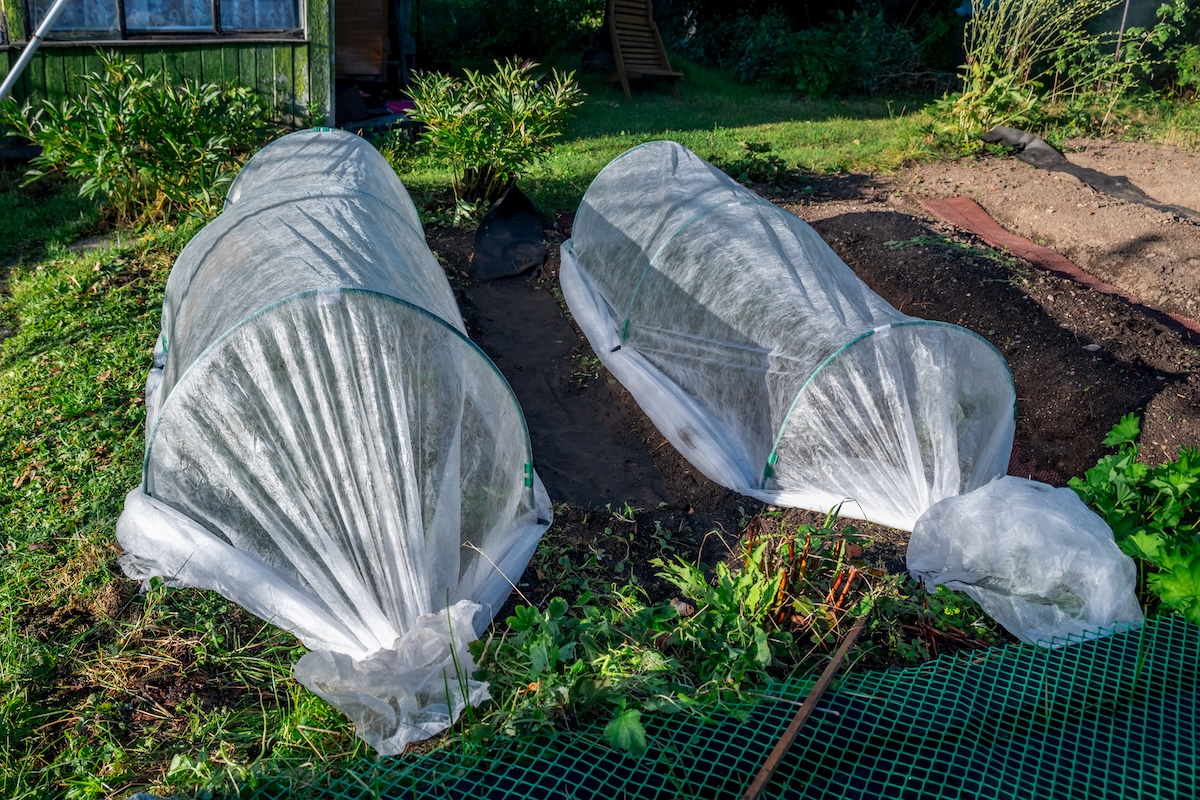 Low tunnels crafted from garden fabric provide essential protection for plants during the winter.