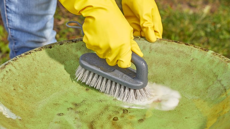 Person wearing yellow rubber gloves uses a scrub brush to clean the basin of a green bird bath.