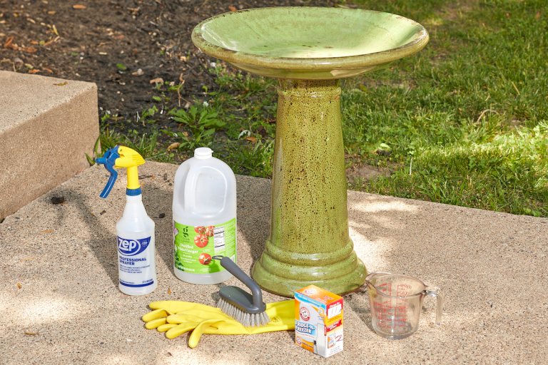 A green bird bath surrounded by the materials needed to clean it.