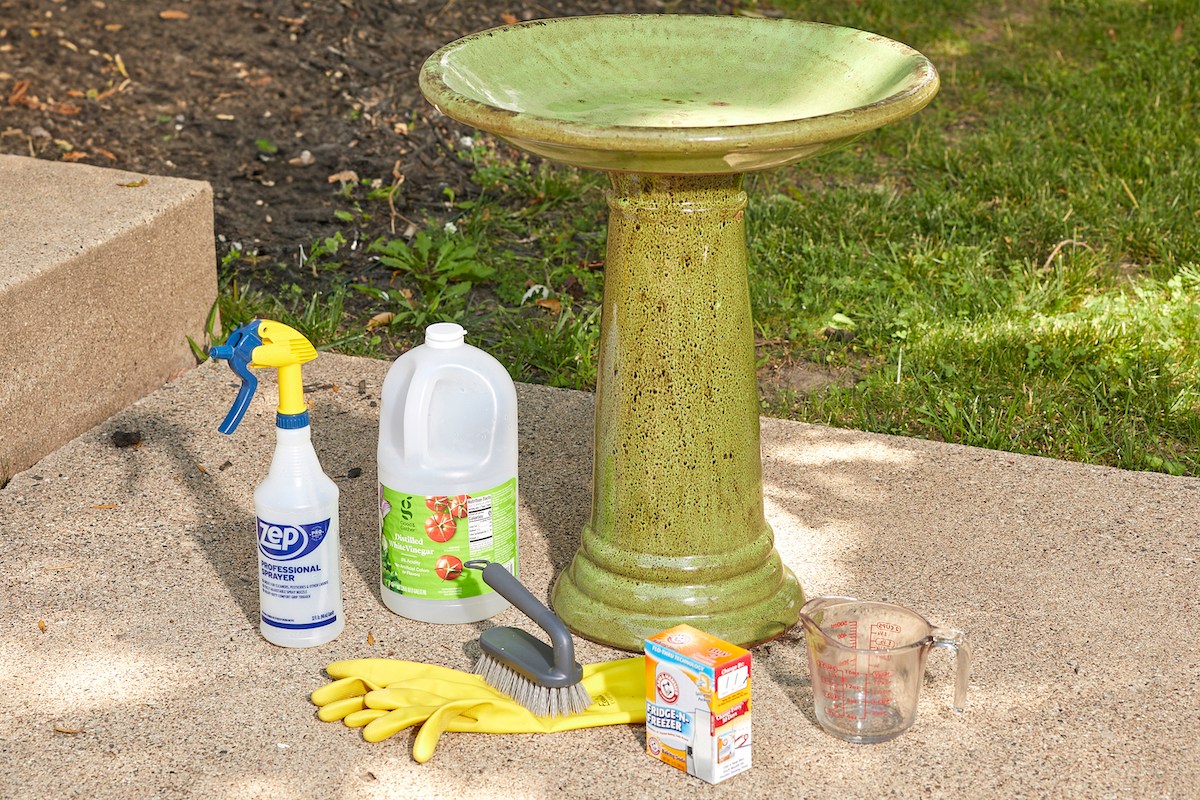 The Best Way to Clean a Bird Bath