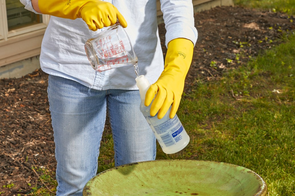 How to Clean a Bird Bath the Right Way