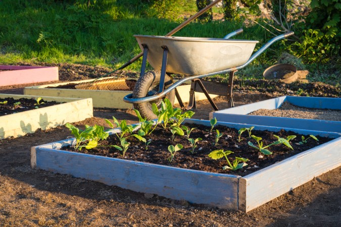 12 Modern Homesteading Ideas for a More Self-Sufficient Life