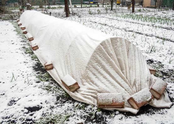 Snowy raised bed garden covered with a row cover hoop and white tarp.